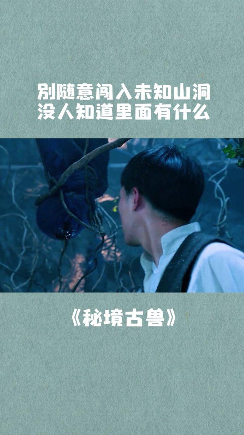 春雨直播app